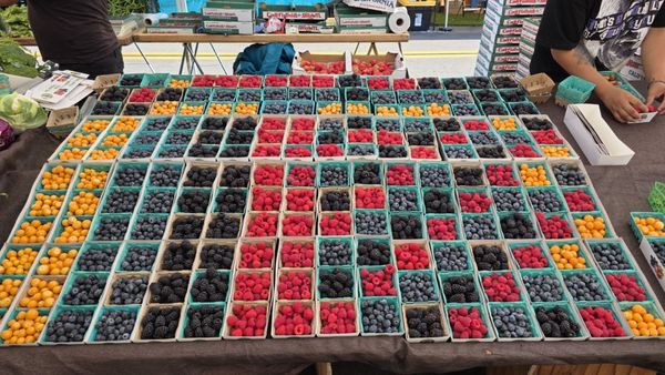 La Mesa Village Farmers Market by null