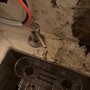 Photo of Mr Flowright Plumbing and Rooter