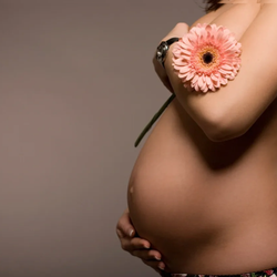 Hawthorne Massage and Self Care - We specialize in Prenatal Massage: gentle care for the journey into motherhood. Hawthorne Massage and Self Care West Seattle