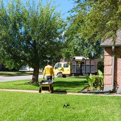 DonkeyJunk Removal and Home Services