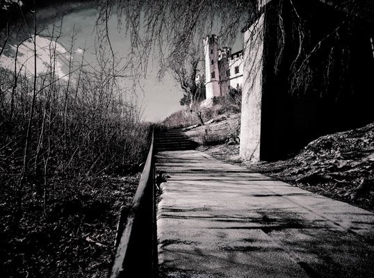Hohenschwangau Castle by null