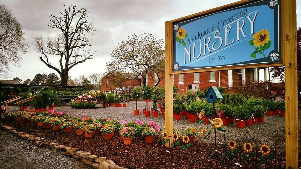 BLACKWOOD CROSSING GREENHOUSE & FLORIST Updated September 2024