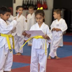 Bibak Taekwondo Academy - Belt exam
