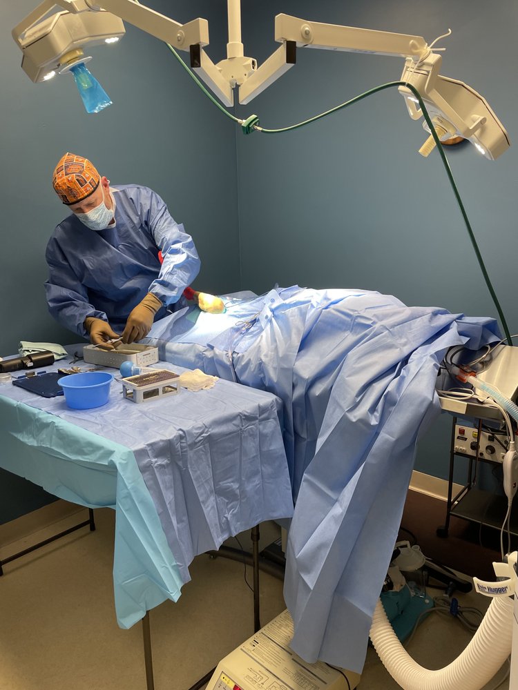 COYOTE RIDGE VETERINARY CLINIC Updated July 2024 13 Photos 125