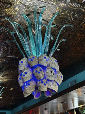 Agave Bandido by null