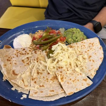 Blue Cactus Cantina - Mexican Near Me - Commerce Charter Township, Michigan