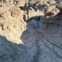 Photo of Window Trailhead