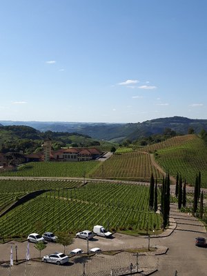 Spa do Vinho Condomínio Vitivinícola by null