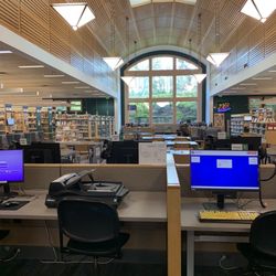 Shoreline Library - Calm day, Tuesday 31 December 2024.