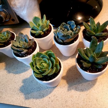 Mountain Crest Gardens - Nurseries & Gardening Near Me - Fort Jones, California