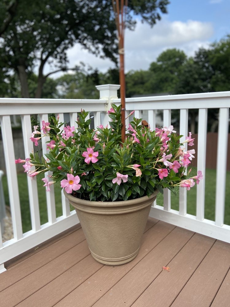 GASKO’S FAMILY FARMS 76 Photos & 146 Reviews 112 Federal Rd, Monroe