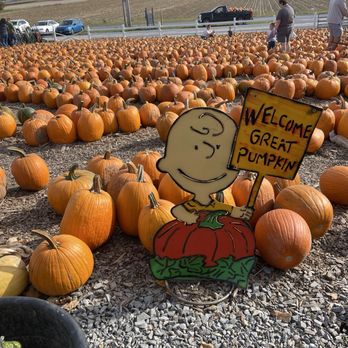 TIM’S PUMPKIN PATCH - Updated December 2025 - 132 Photos & 45 Reviews ...