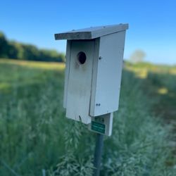 Sweet Arrow Reserve