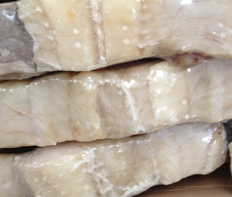 OCEAN SEAFOOD DEPOT INC Wholesale by null