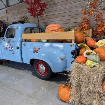 Handcart Garden Center - Very cool fall display inside the gardening essentials building - Nurseries & Gardening Near Me - Dade City, Florida Handcart Garden Center - Very cool fall display inside the gardening essentials building - Nurseries & Gardening Near Me - Dade City, Florida