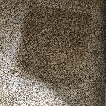 Casa Madrid Apartments - Taken on day of move in: one of the stains on 'brand new' carpet. - Apartments Near Me - Anaheim, California Casa Madrid Apartments - Taken on day of move in: one of the stains on 'brand new' carpet. - Apartments Near Me - Anaheim, California
