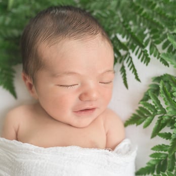 Alison Winterroth Photography - A baby on a bed of ferns by photographer Alison Winterroth - Session Photography Near Me - Lutz, Florida Alison Winterroth Photography - A baby on a bed of ferns by photographer Alison Winterroth - Session Photography Near Me - Lutz, Florida