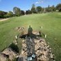 Photo of Fellows Creek Golf Club