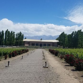 Bodega Salentein - Another beautiful shot! - Wineries Near Me - Mendoza, M Bodega Salentein - Another beautiful shot! - Wineries Near Me - Mendoza, M