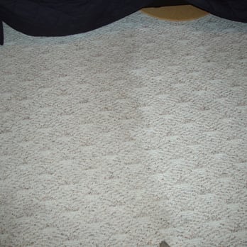 Steam Green - Carpet Cleaning Near Me - Peoria, Illinois Steam Green - Carpet Cleaning Near Me - Peoria, Illinois