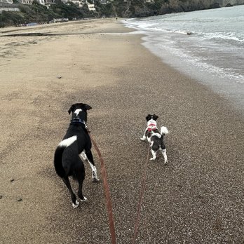 Baker Beach - Parks Near Me - San Francisco, California