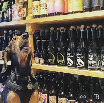 Edmund's Oast Exchange by null