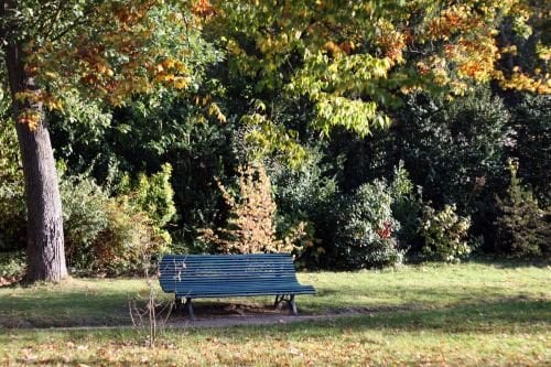 Parc Bagatelle - la Roseraie by null