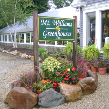 Mount Williams Greenhouses - Mount Williams Greenhouses inc. North Adams, MA - Florists Near Me - North Adams, Massachusetts Mount Williams Greenhouses - Mount Williams Greenhouses inc. North Adams, MA - Florists Near Me - North Adams, Massachusetts