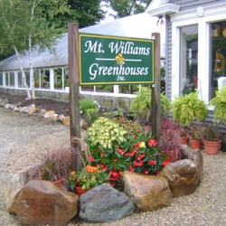 Mount Williams Greenhouses - Mount Williams Greenhouses inc. North Adams, MA