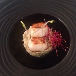 L'Hibiscus - St Jacques, fenouil façon risotto, radis noir aux cebettes et graines germées, un délice absolu !
