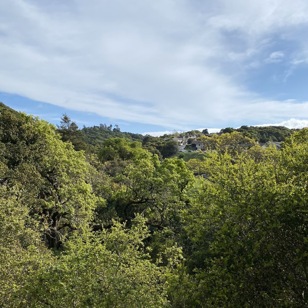 Park view Park view