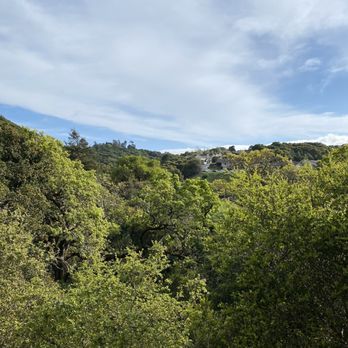 Laurelwood Park/Sugarloaf - Park view - Parks Near Me - San Mateo, California Laurelwood Park/Sugarloaf - Park view - Parks Near Me - San Mateo, California