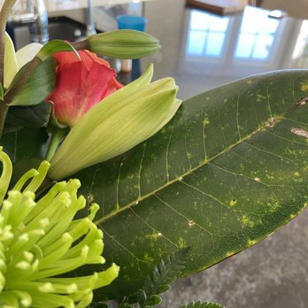 Creative Designs By Jim - Just arrived with ugly magnolia leaf - Florists Near Me - Wilmington, North Carolina Creative Designs By Jim - Just arrived with ugly magnolia leaf - Florists Near Me - Wilmington, North Carolina