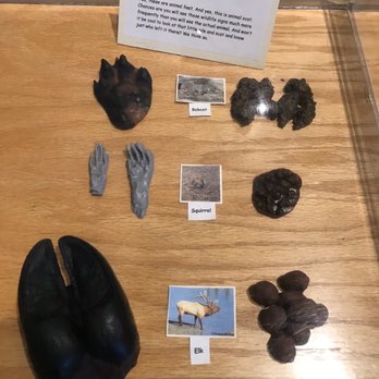 Wasatch Mountain State Park - Nature displays that kids would like. - Parks Near Me