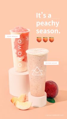 OMOMO TEA SHOPPE by null