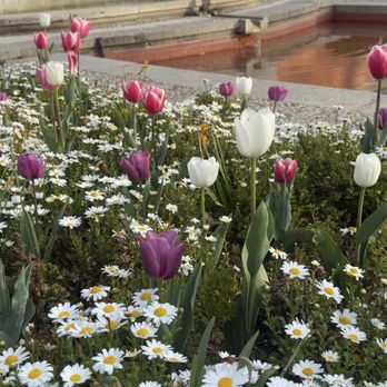 Parque Del Retiro - Retiro - Parks Near Me - Madrid, M