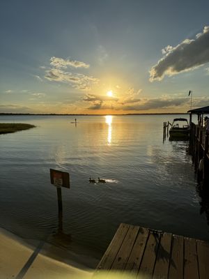Tiki Bar & Grill by null