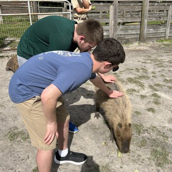 Wellington Conservation Center - Feeding and petty capybara - Petting Zoos Near Me - Wellington, Florida