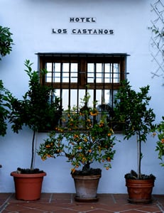 Hotel Los Castaños by null