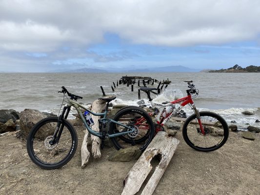 WHEELS IN MOTION SKATE AND BIKE SHOP - Updated July 2024 - 40 Photos