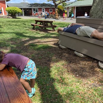 Kualoa Ranch - Quick snooze after our activity and lunch - Tours Near Me - Kaneohe, Hawaii