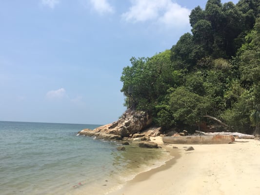 Penang National Park by null