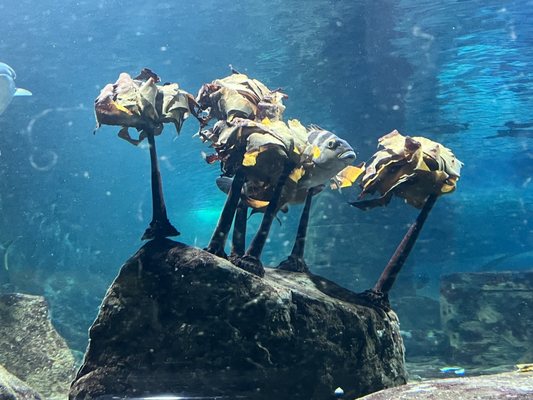 SEA LIFE Kelly Tarlton's Aquarium by null