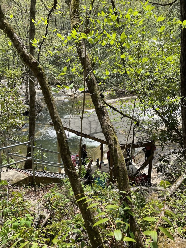 PISGAH NATIONAL FOREST Updated September 2024 466 Photos & 70 Reviews 1600 Pisgah Hwy