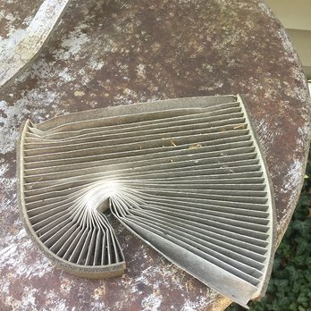Jim Norton Toyota - Mauled cabin air filter - Auto Repair Near Me - Tulsa, Oklahoma