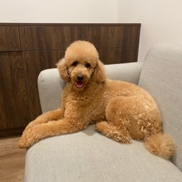 Flash is feeling cute, might delete later. Flash is feeling cute, might delete later.