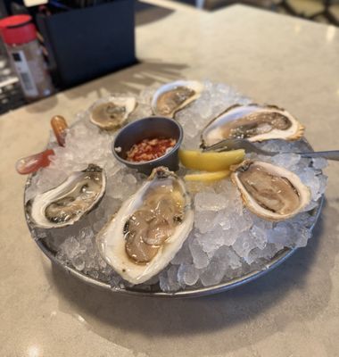 Skipjack Oyster by null