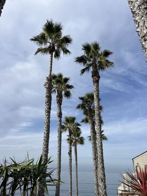 Grandview Surf Beach by null