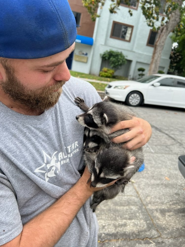 ALL STAR ANIMAL TRAPPING 562 Photos & 412 Reviews Los Angeles