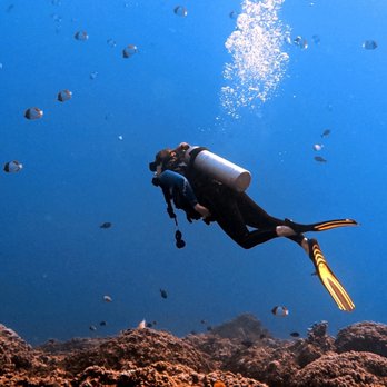 Pro Diver Maui - Scuba Diving Near Me - Kihei, Hawaii Pro Diver Maui - Scuba Diving Near Me - Kihei, Hawaii